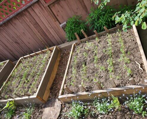 Raised Garden Beds